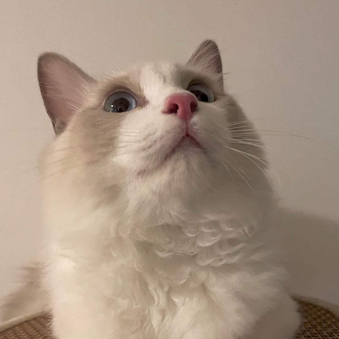 天下无敌双双超人