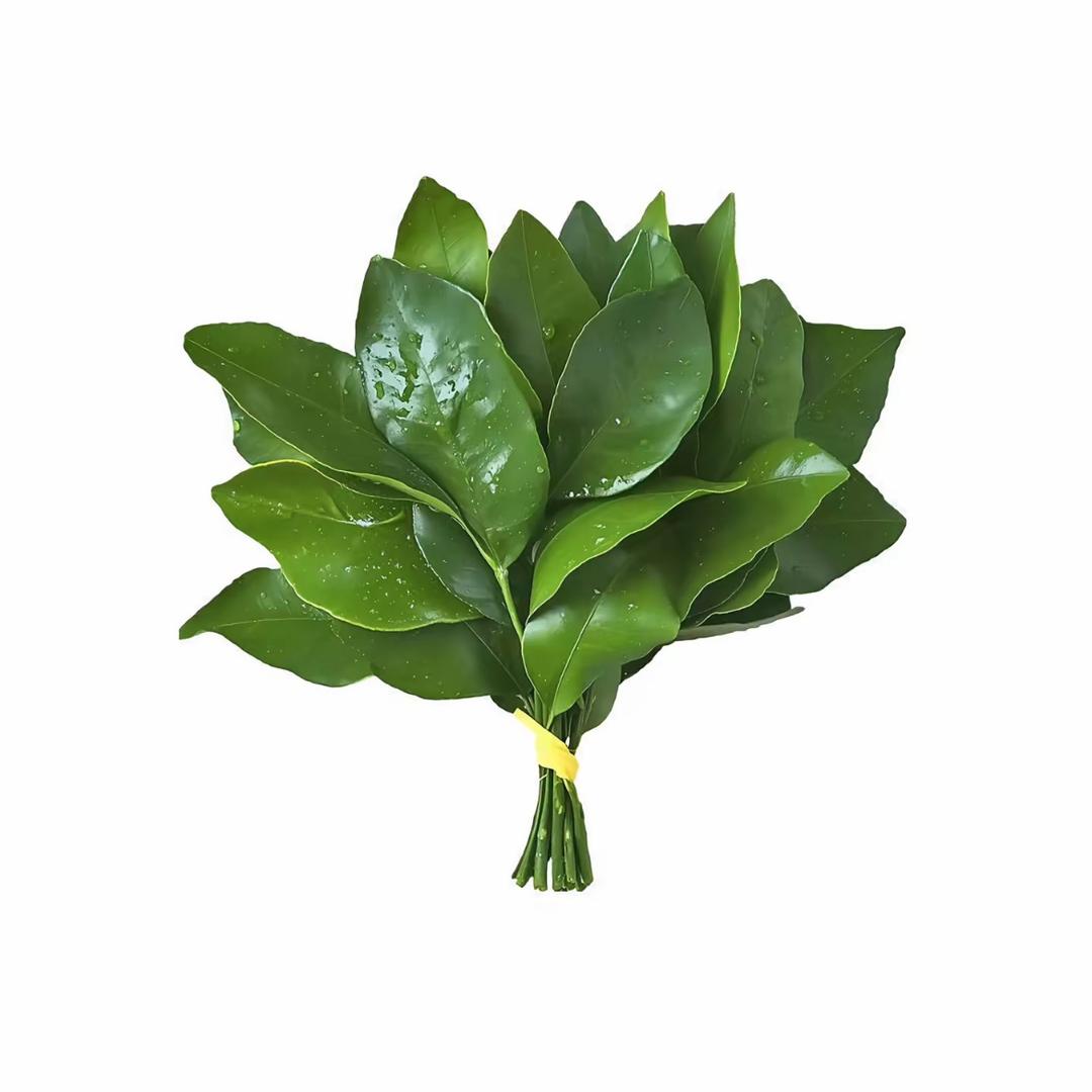 柚子u