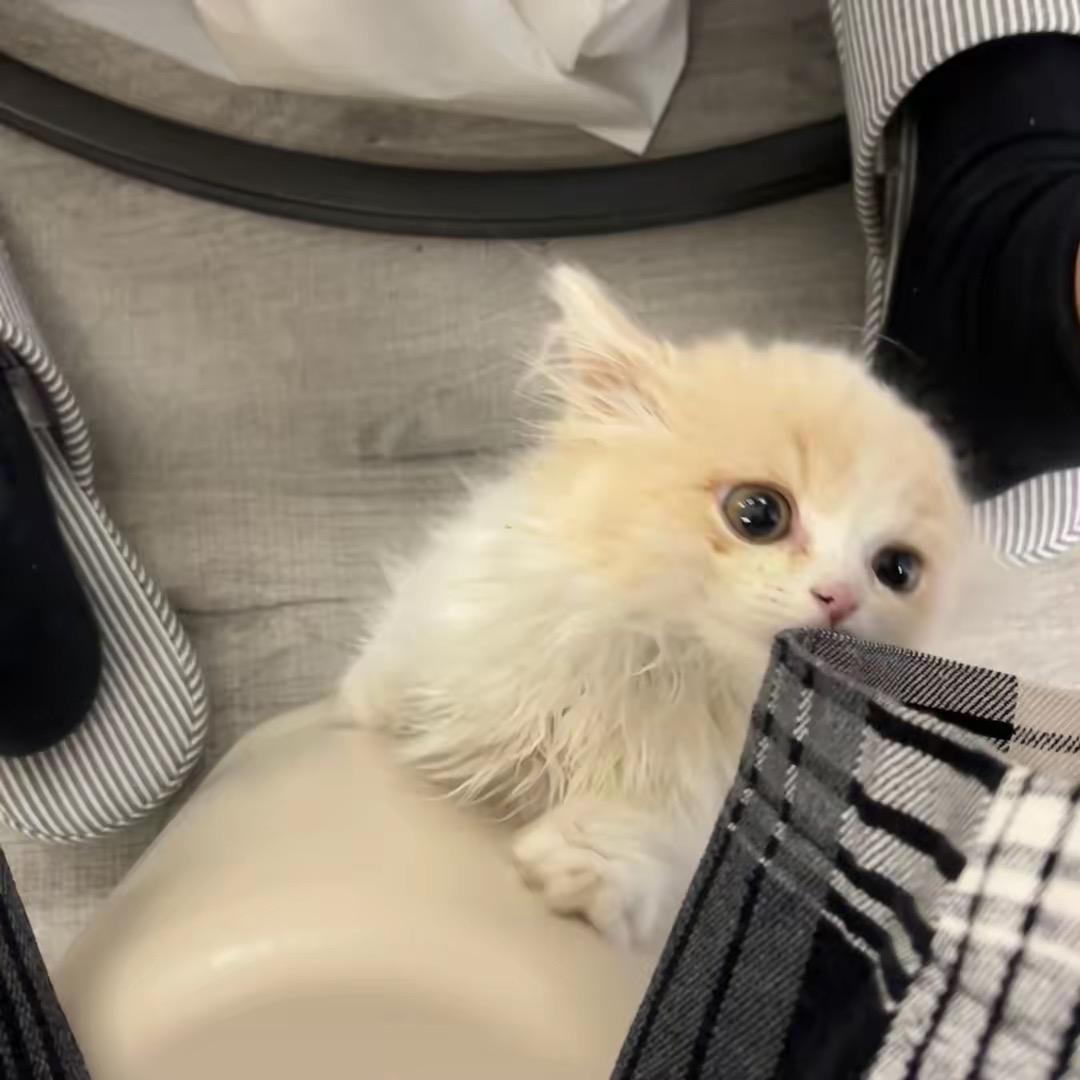 冬冬家羊毛羊绒工厂