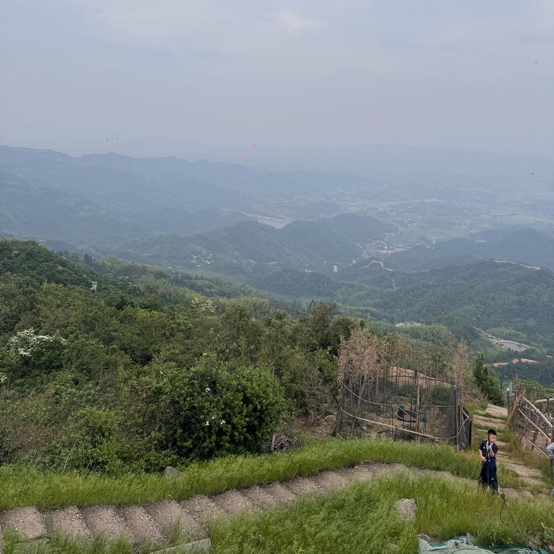 小刘呢