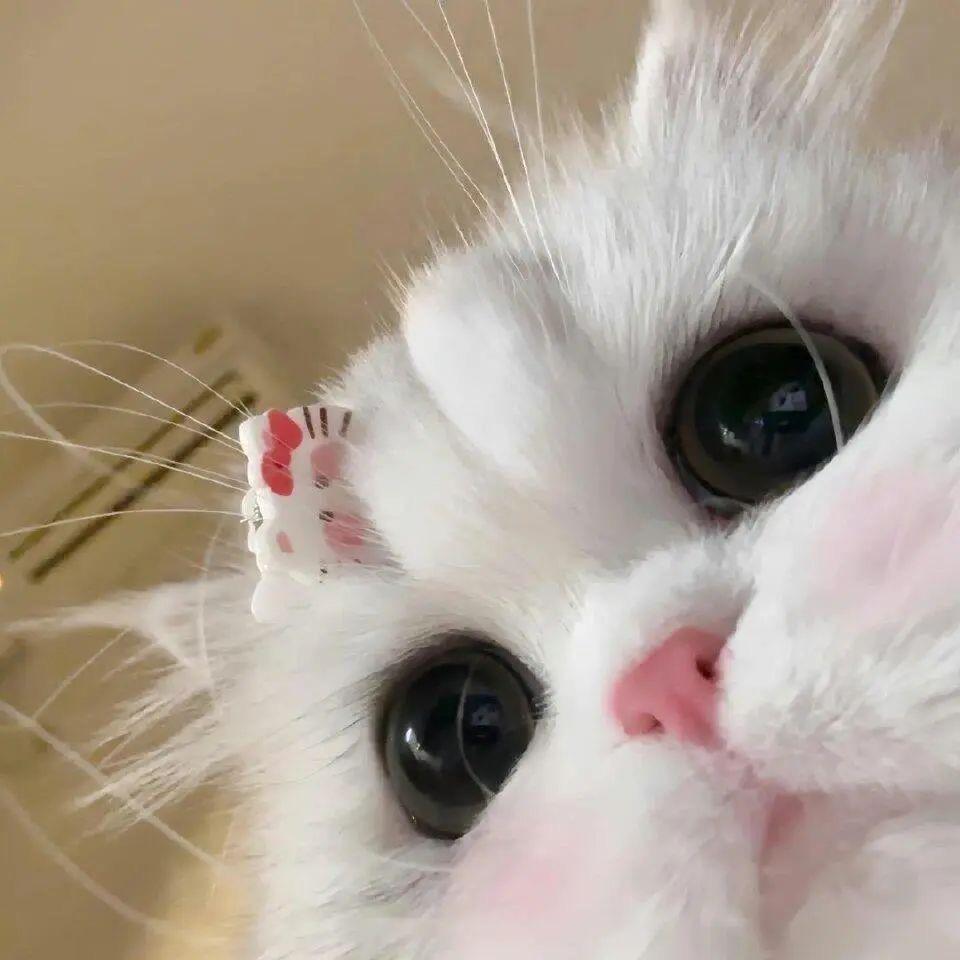 11穿搭
