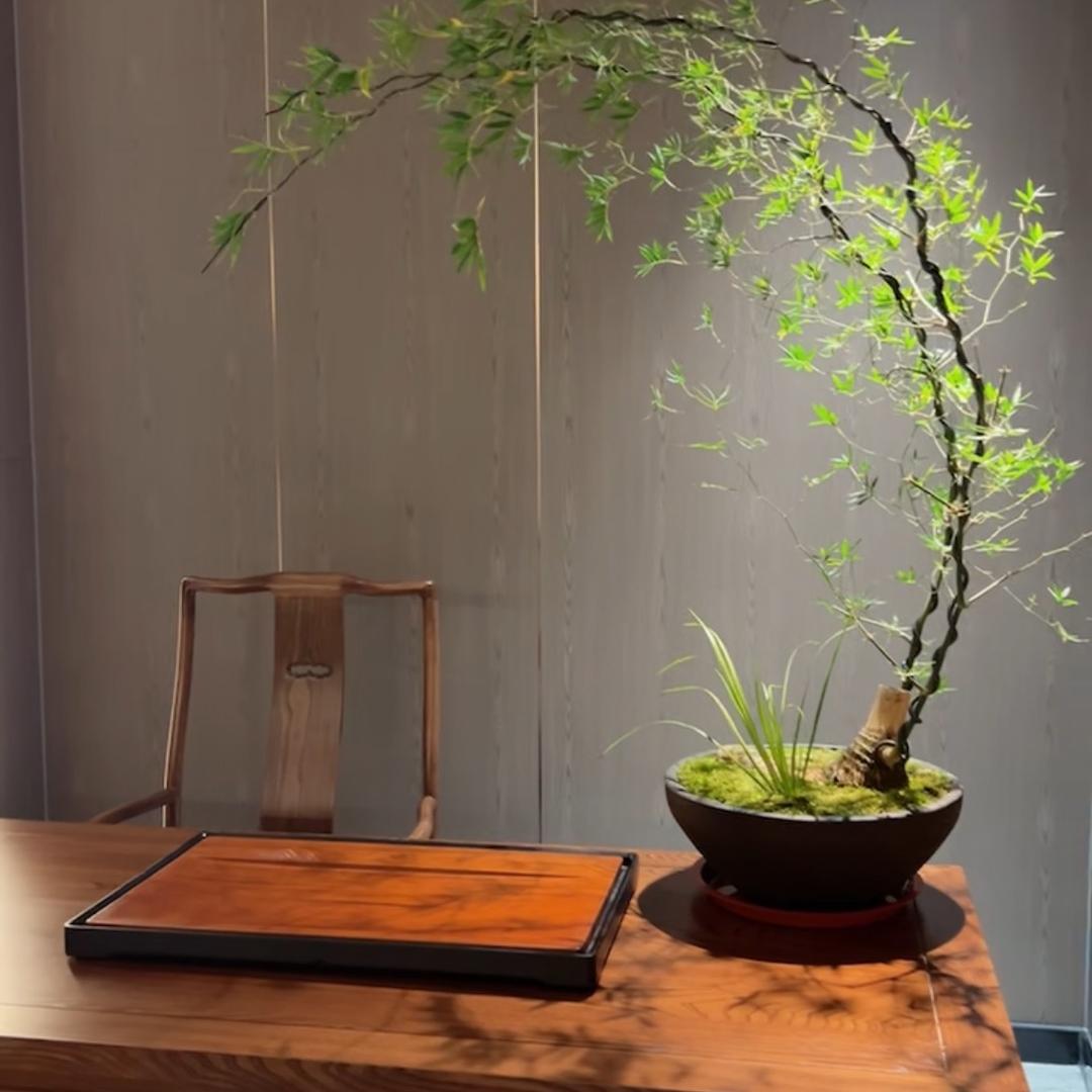 7号品海～顺泰生鲜超市