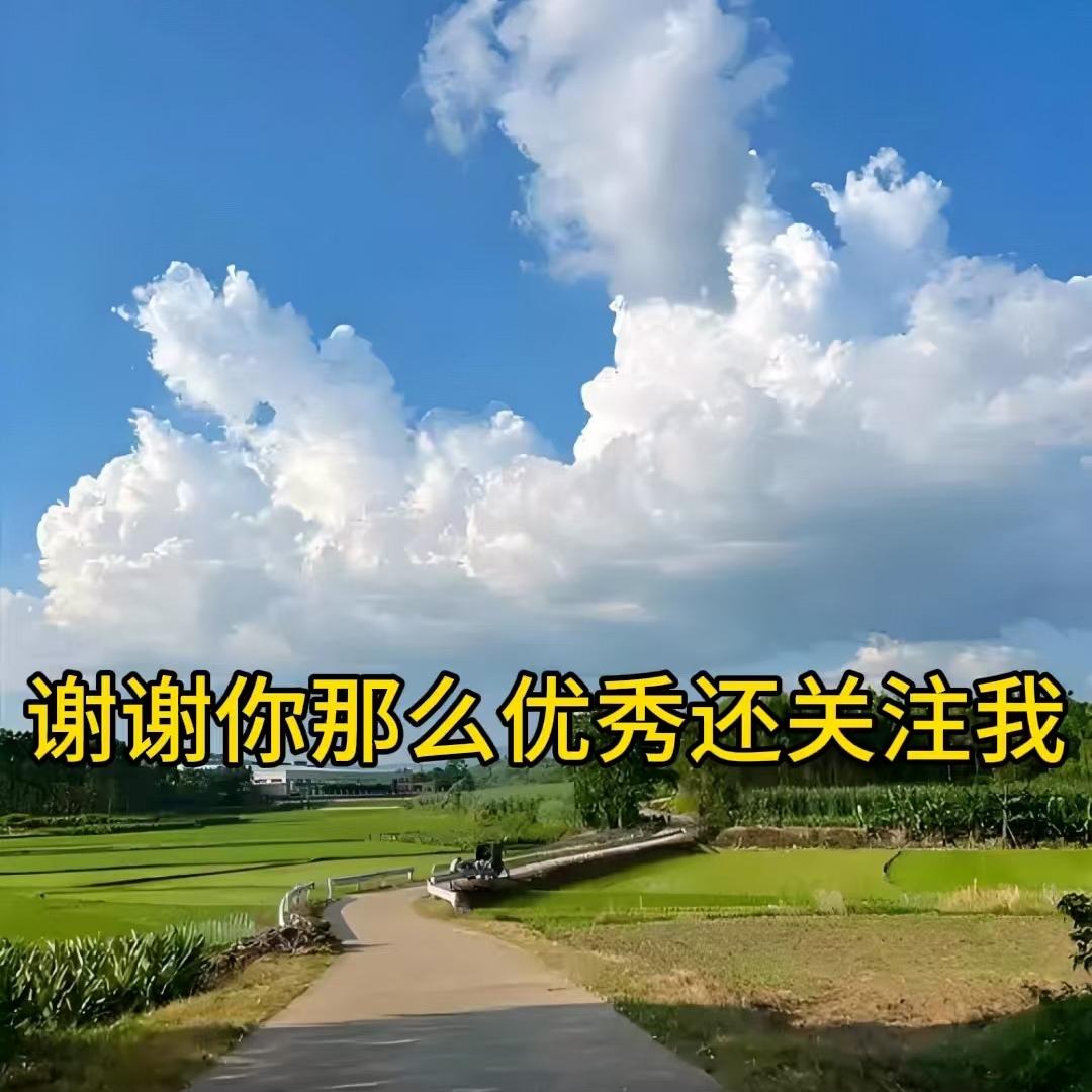 中中中甄选农产品