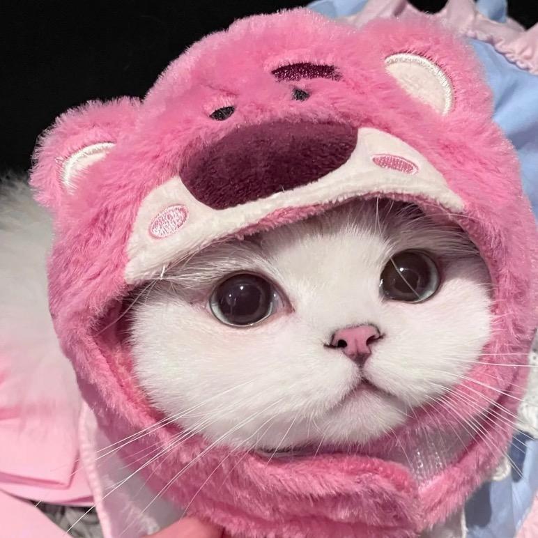 躲猫猫