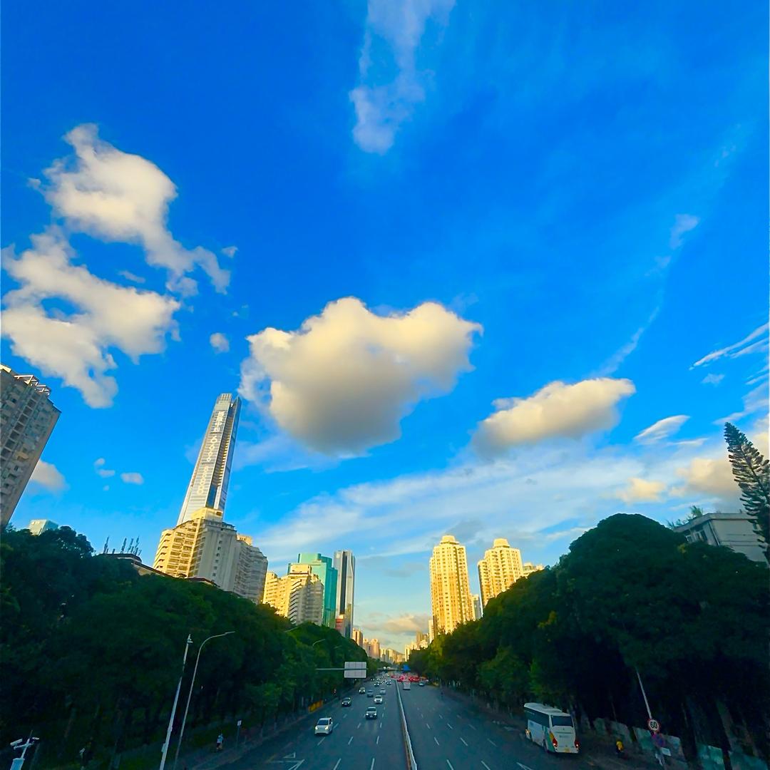 焦点大师