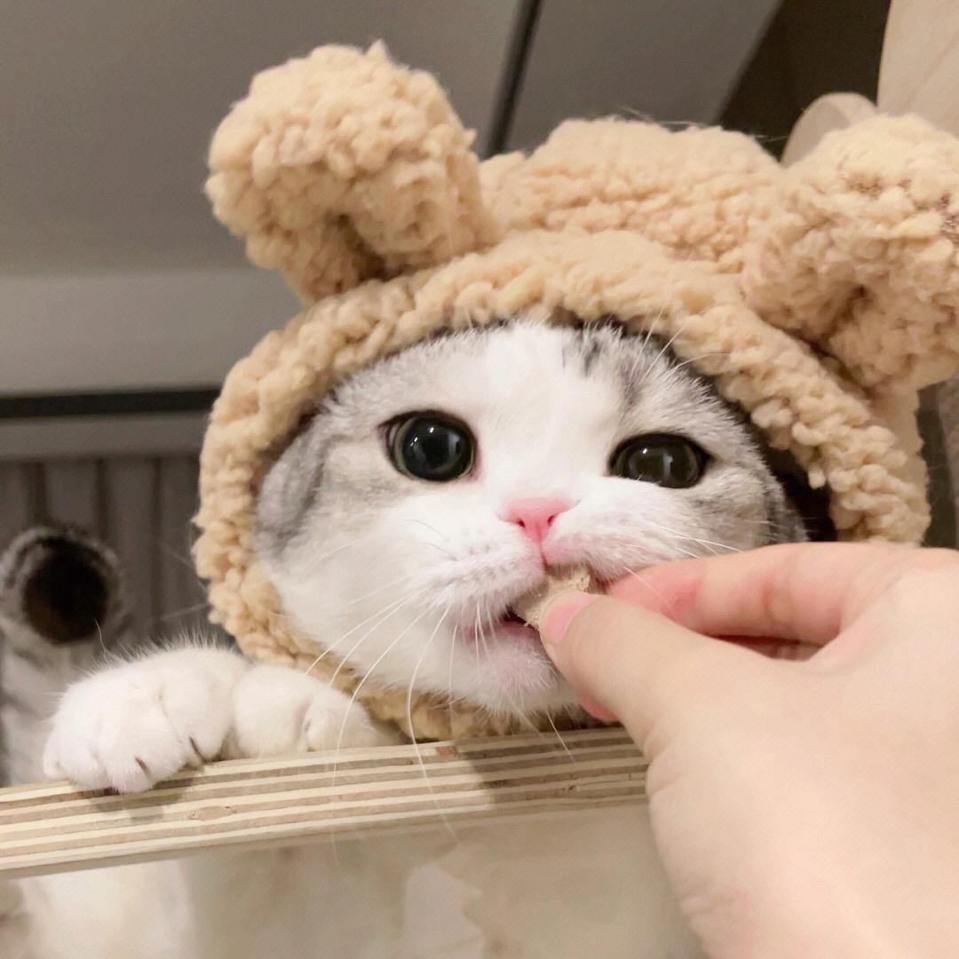 ㅤㅤㅤㅤㅤㅤㅤㅤ☁️ ㅤㅤㅤㅤ