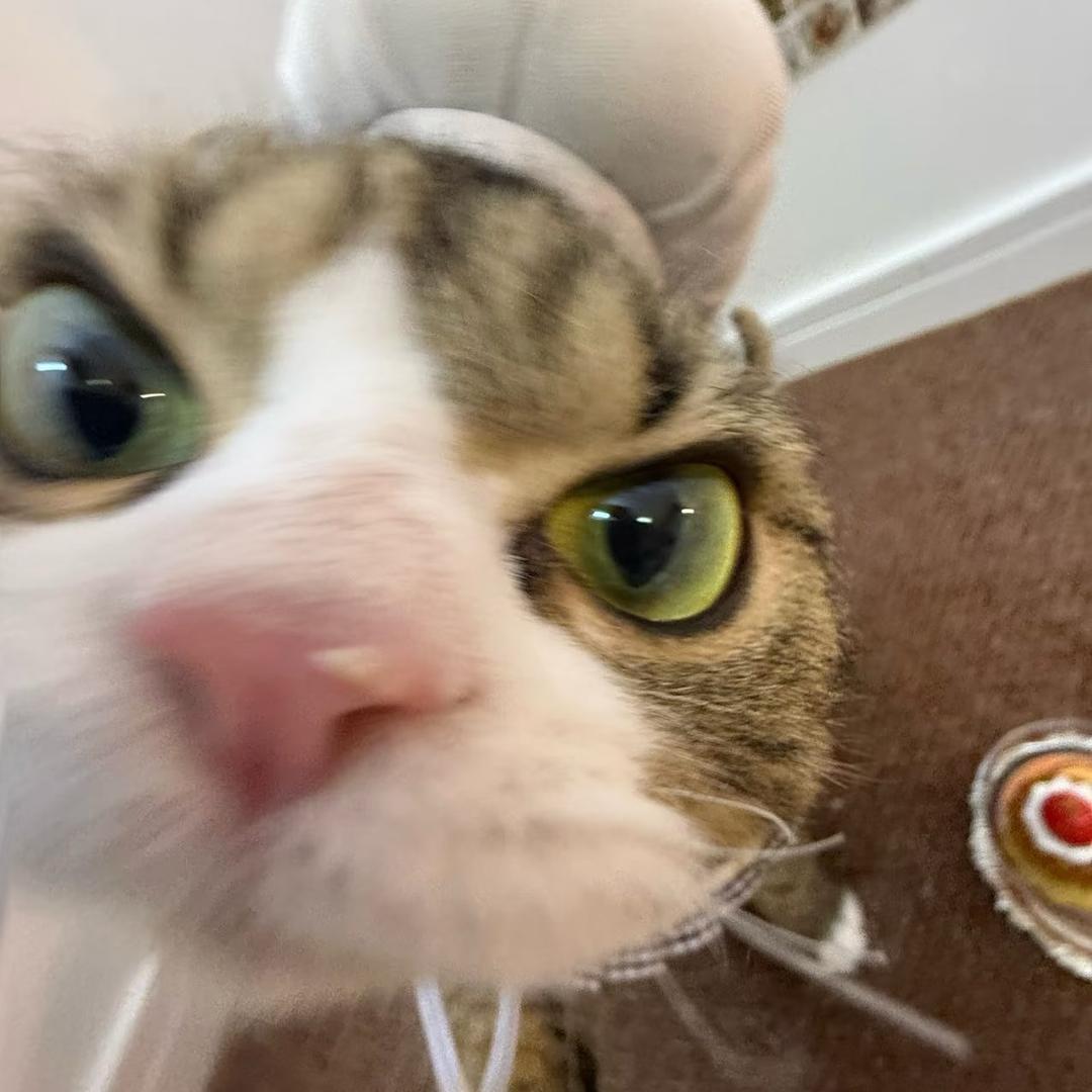 那一天的忧郁忧郁起来那一天的寂寞寂寞起来