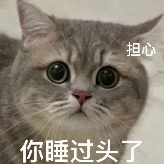 大团团