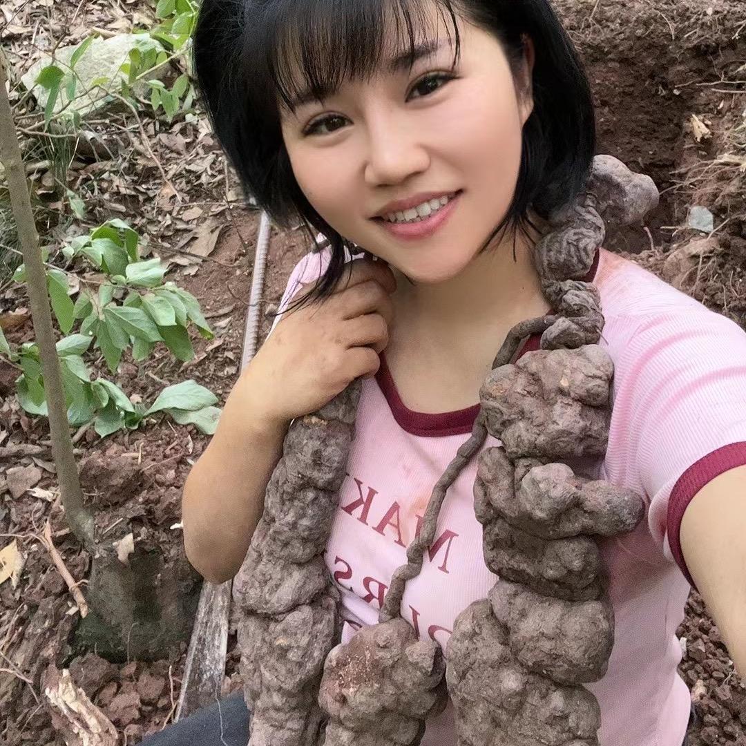 小猪妹