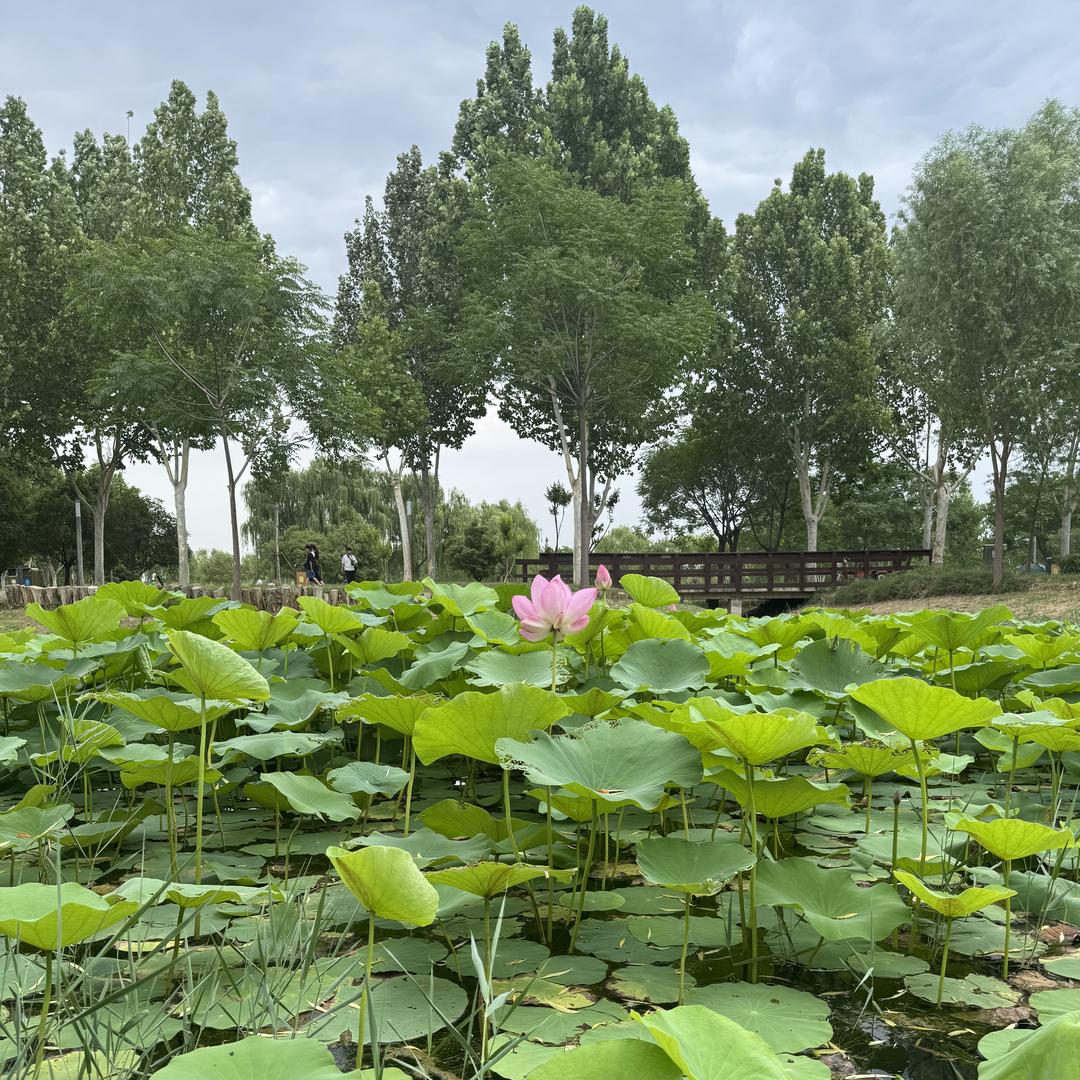 顺觅养殖商行
