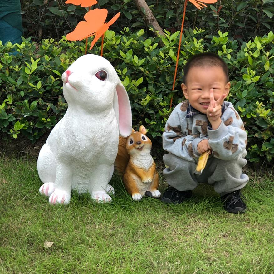 卓琳
