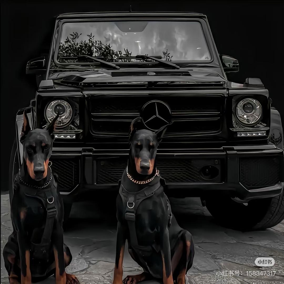 香港🇭🇰奢品