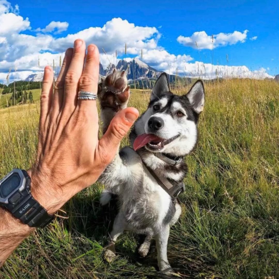 锂电池定制（强哥）