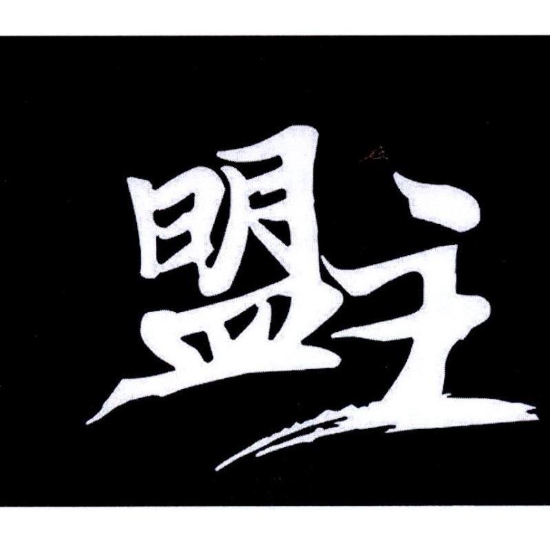 抖音迪吧盟主