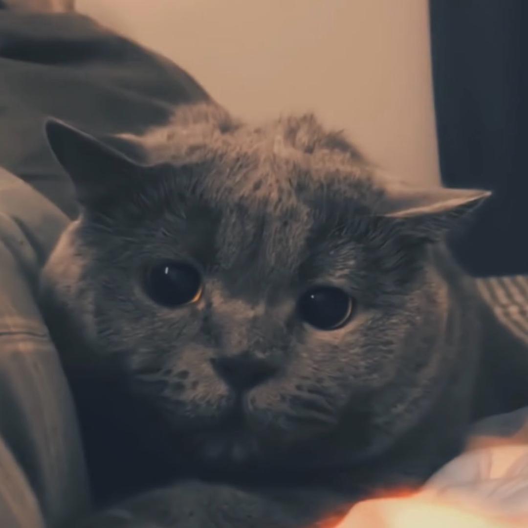 俄小见