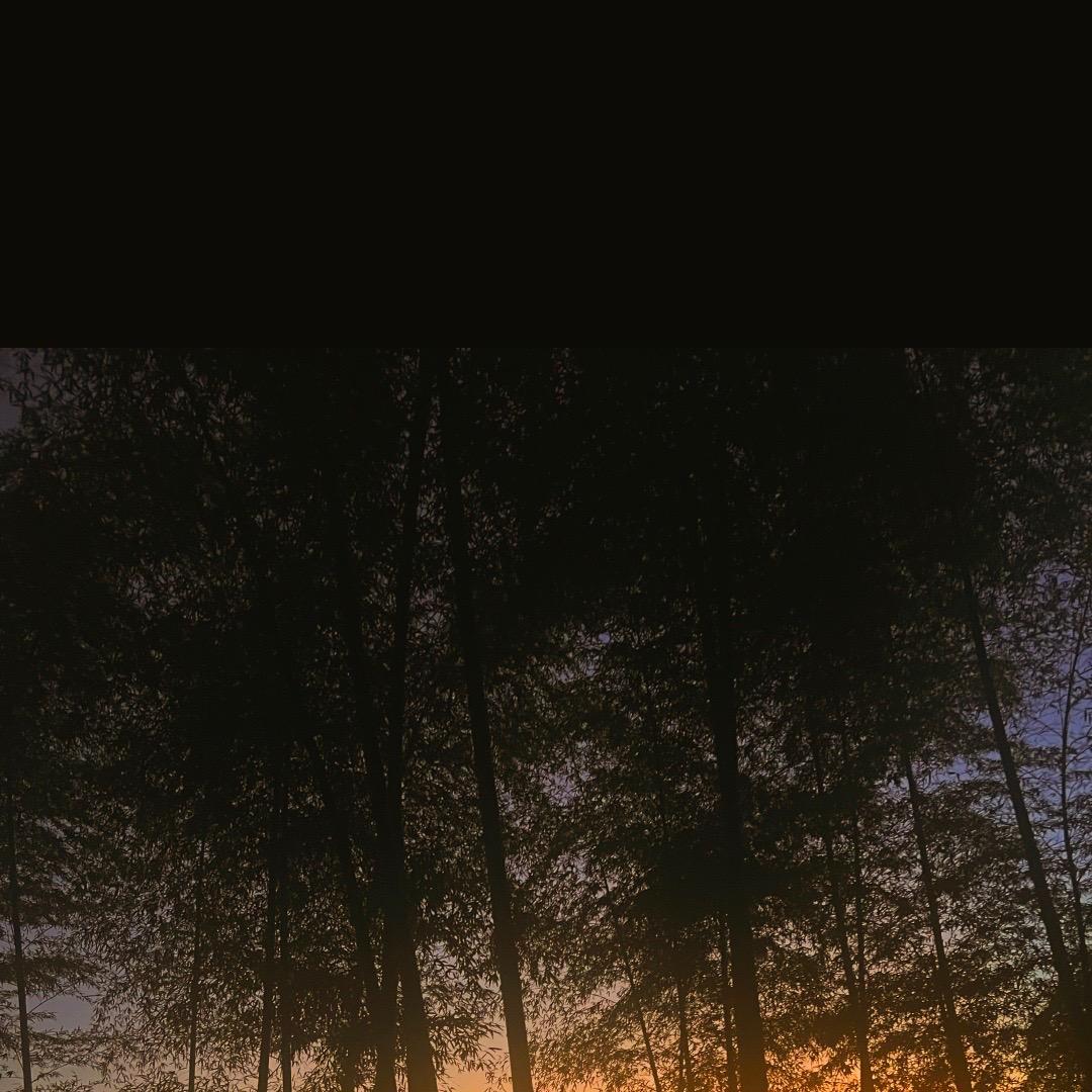 ……………………