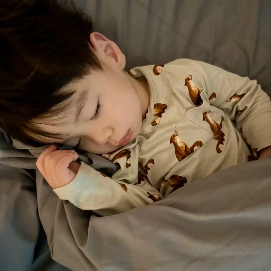 清晨的风.