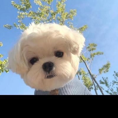 熊🐻花花