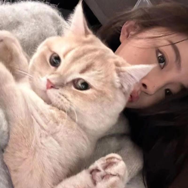 不是美女