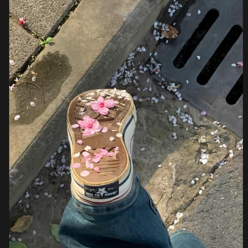 赵睿