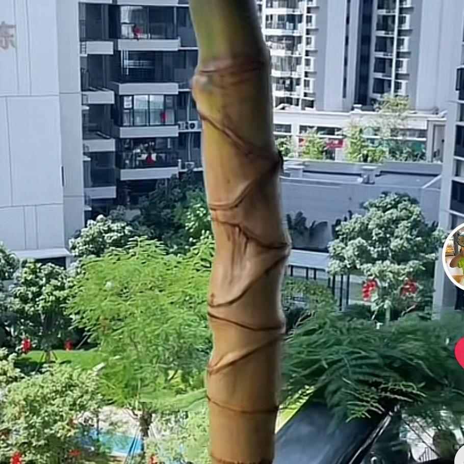 金团
