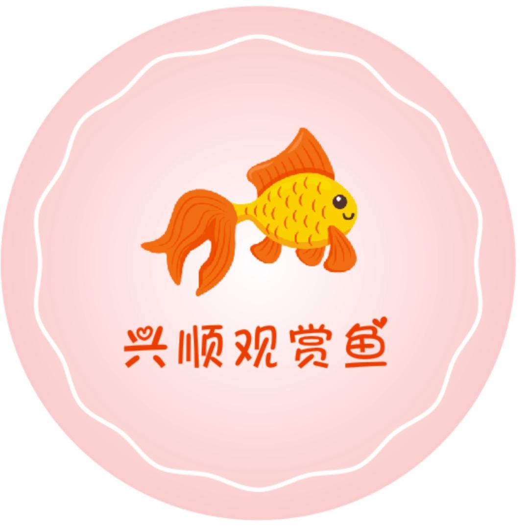 鑫源观赏鱼（精品迷你鹦鹉）