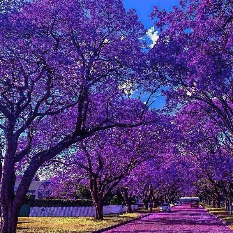 智能空调工厂直销C5