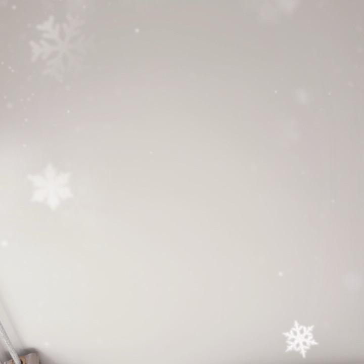 爱吃草莓