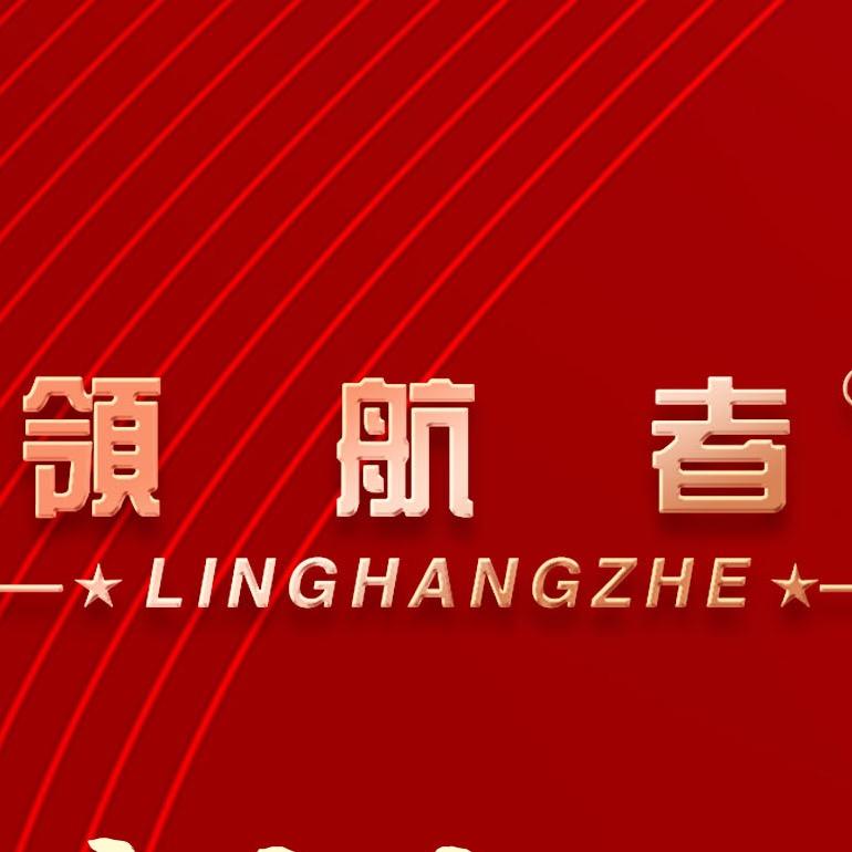 广西领航者无人机运营服务有限公司