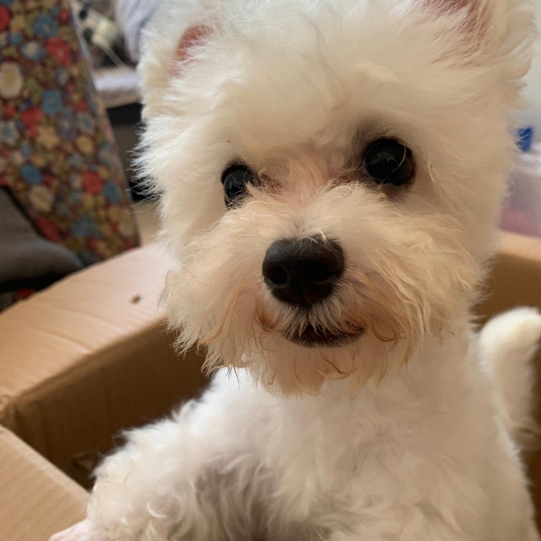 衡南星级宠物生活馆