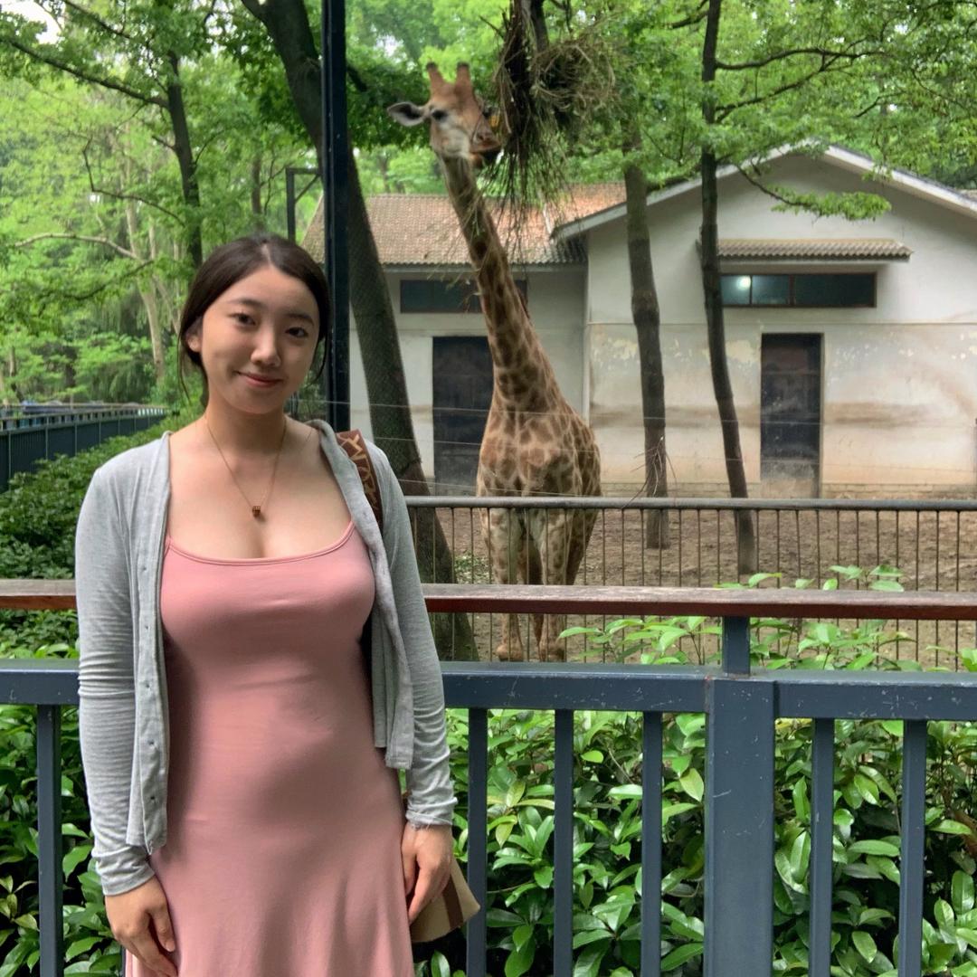 沈阳注册公司奇奇