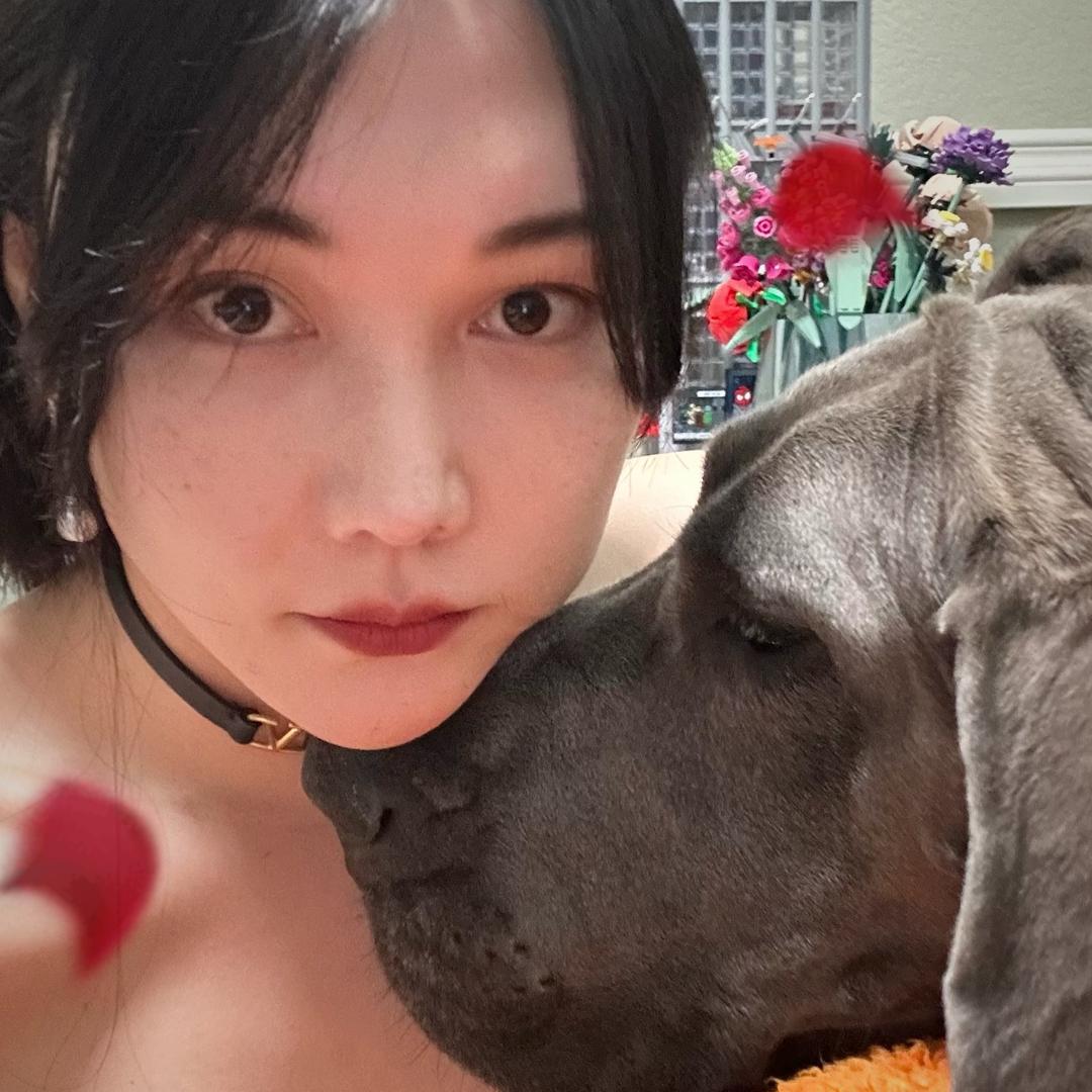 是惠媛呀（吴帅克的抖音号）@抖音