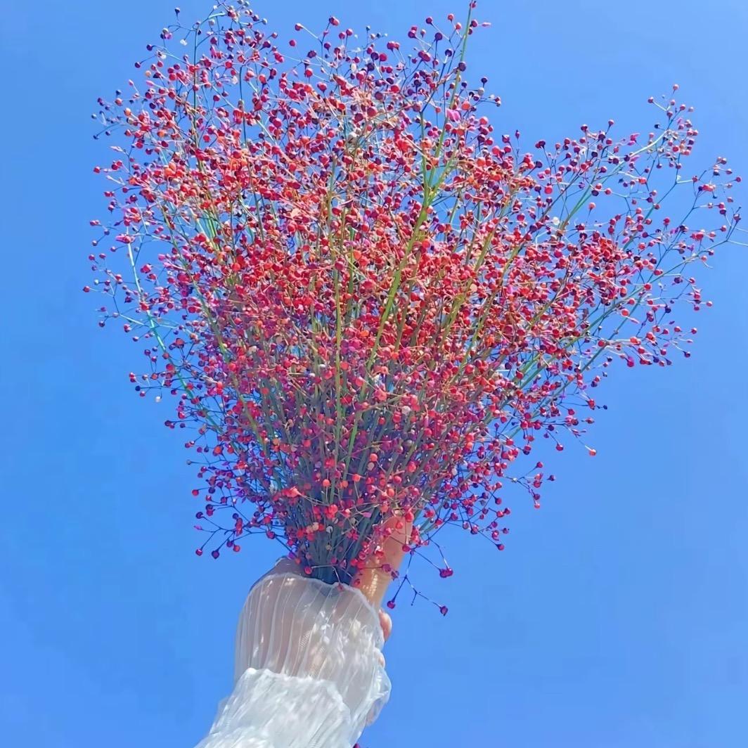 菲