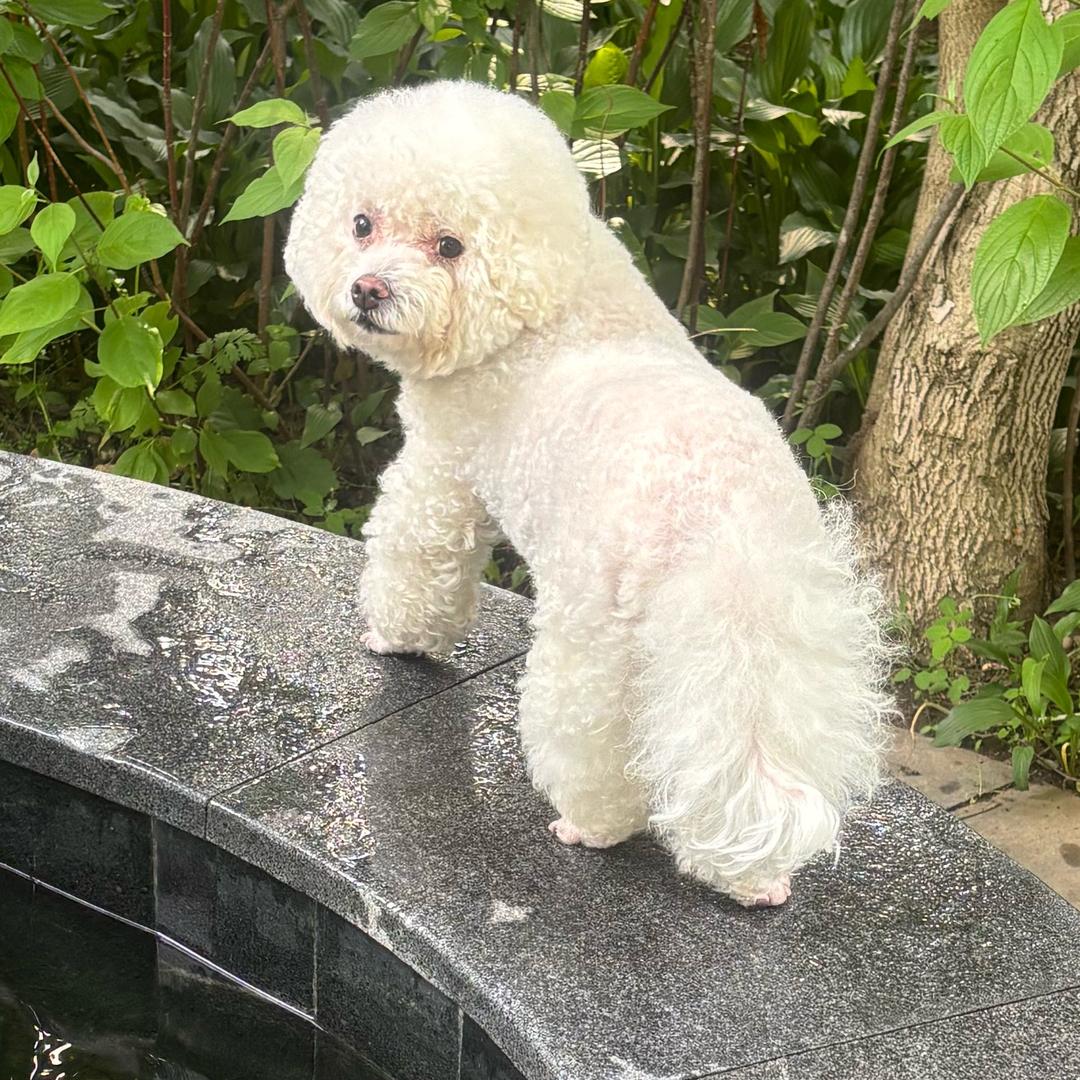 🦩Midnight Miami🌴🌖