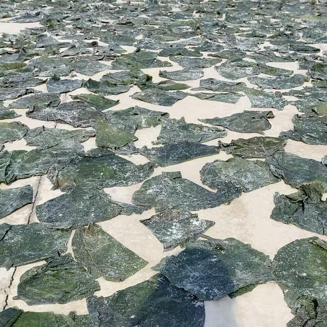大连海带源头批发（大连更好的海带）
