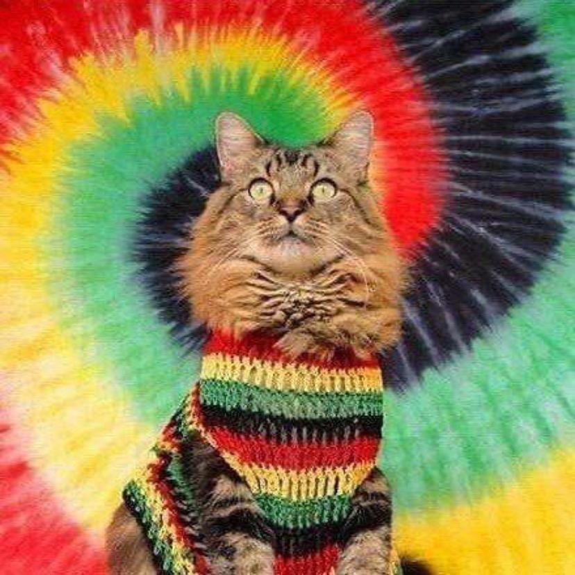 喃花