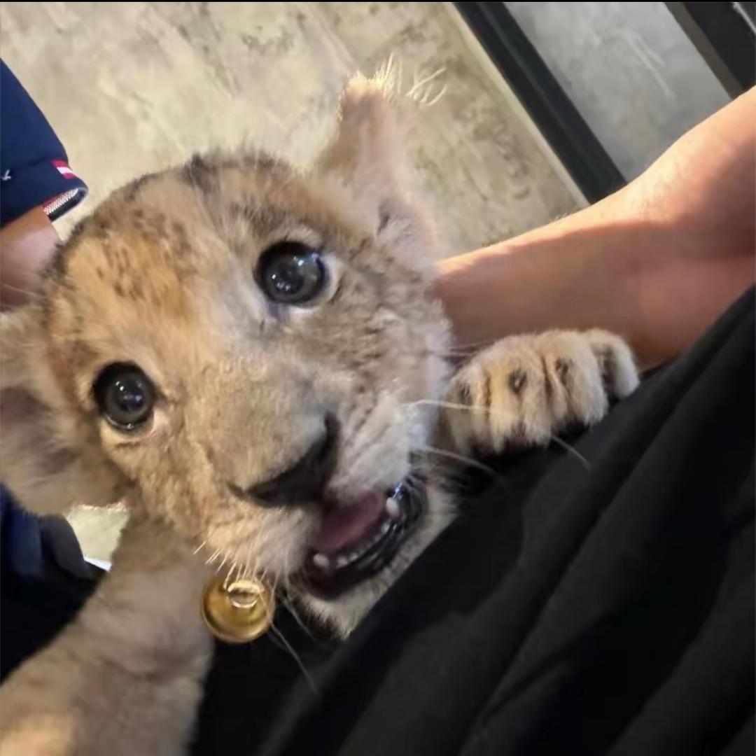 我也不太了解我自己