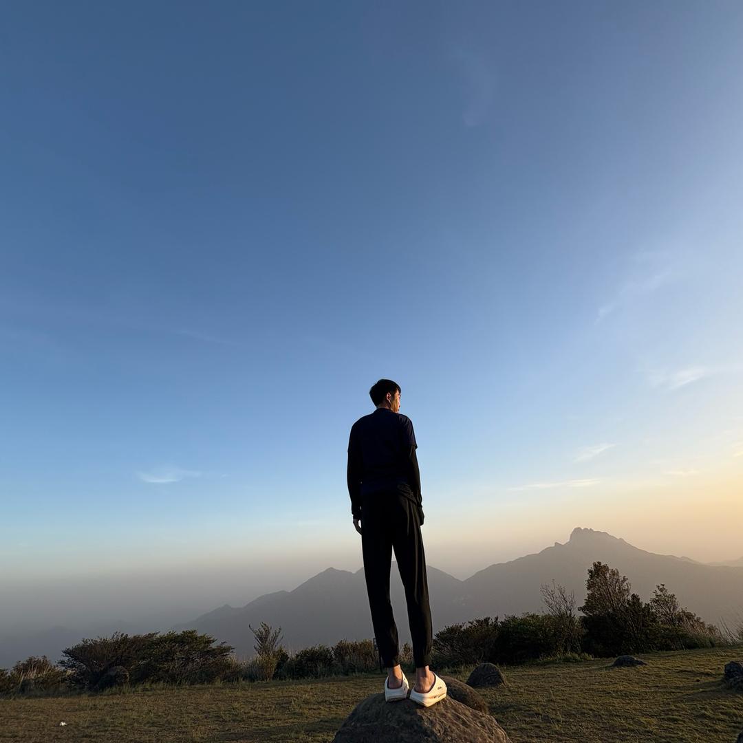 桑尼