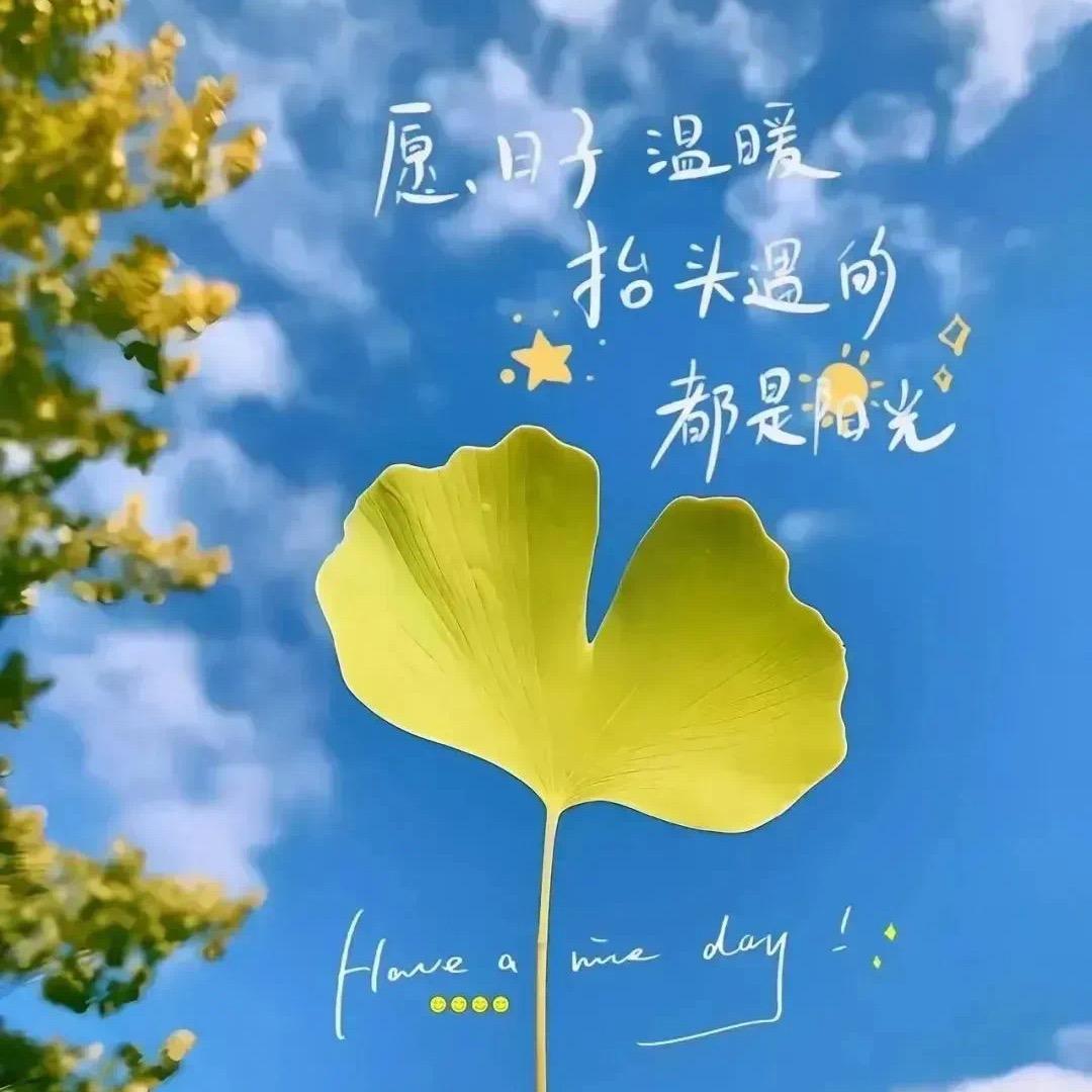 语白白