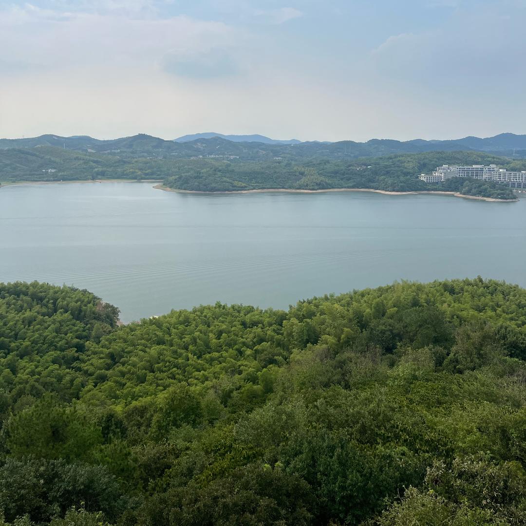 兰州♻️环保专业治理甲醛