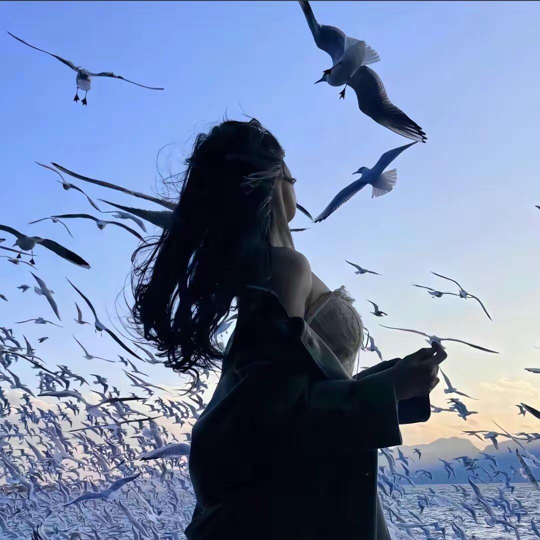 花海不见你🌹