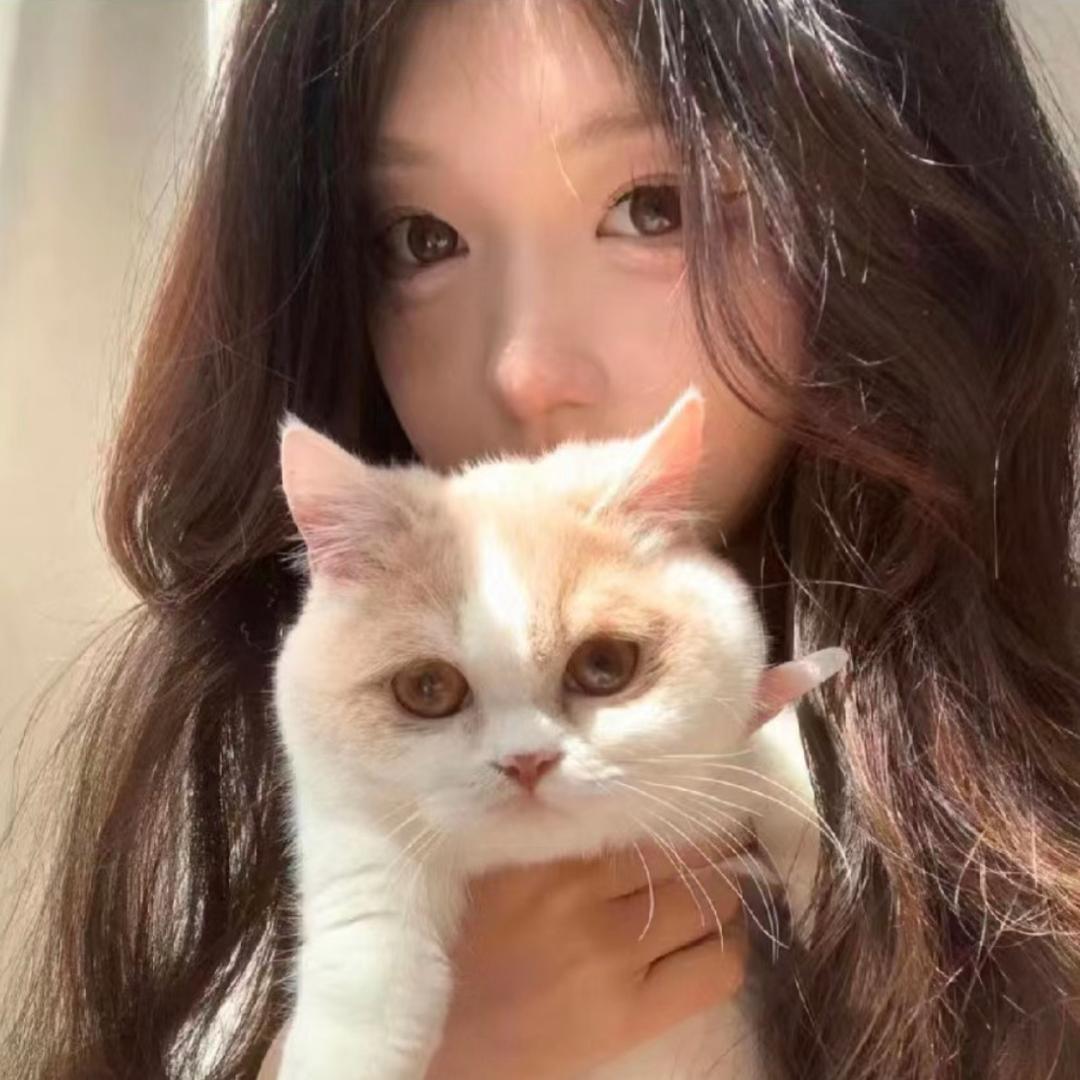 蝴蝶的心事集