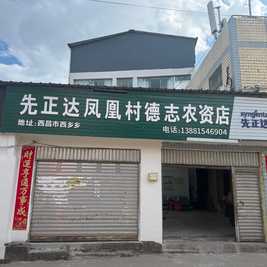凤凰村德志农资店