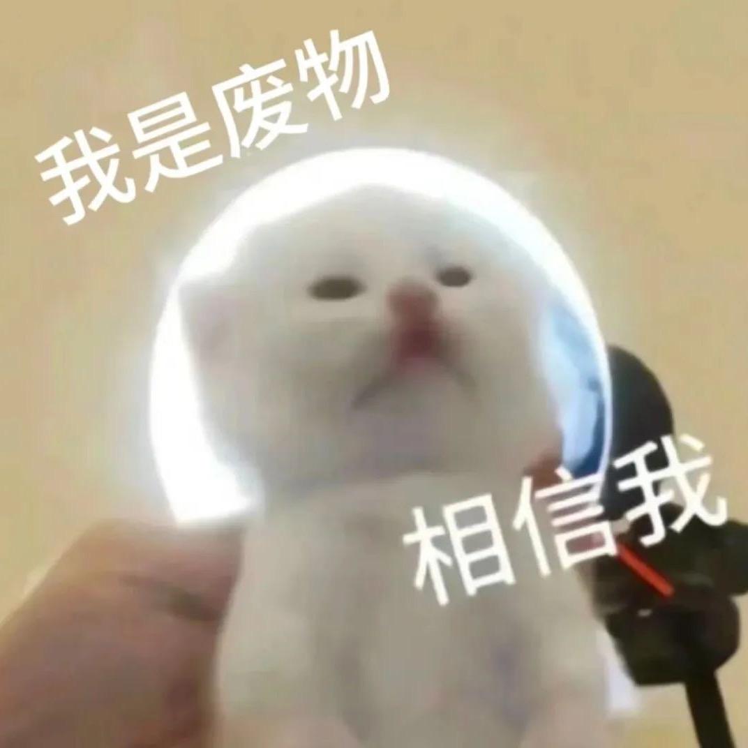 红宝石舞者傅辰爵头像