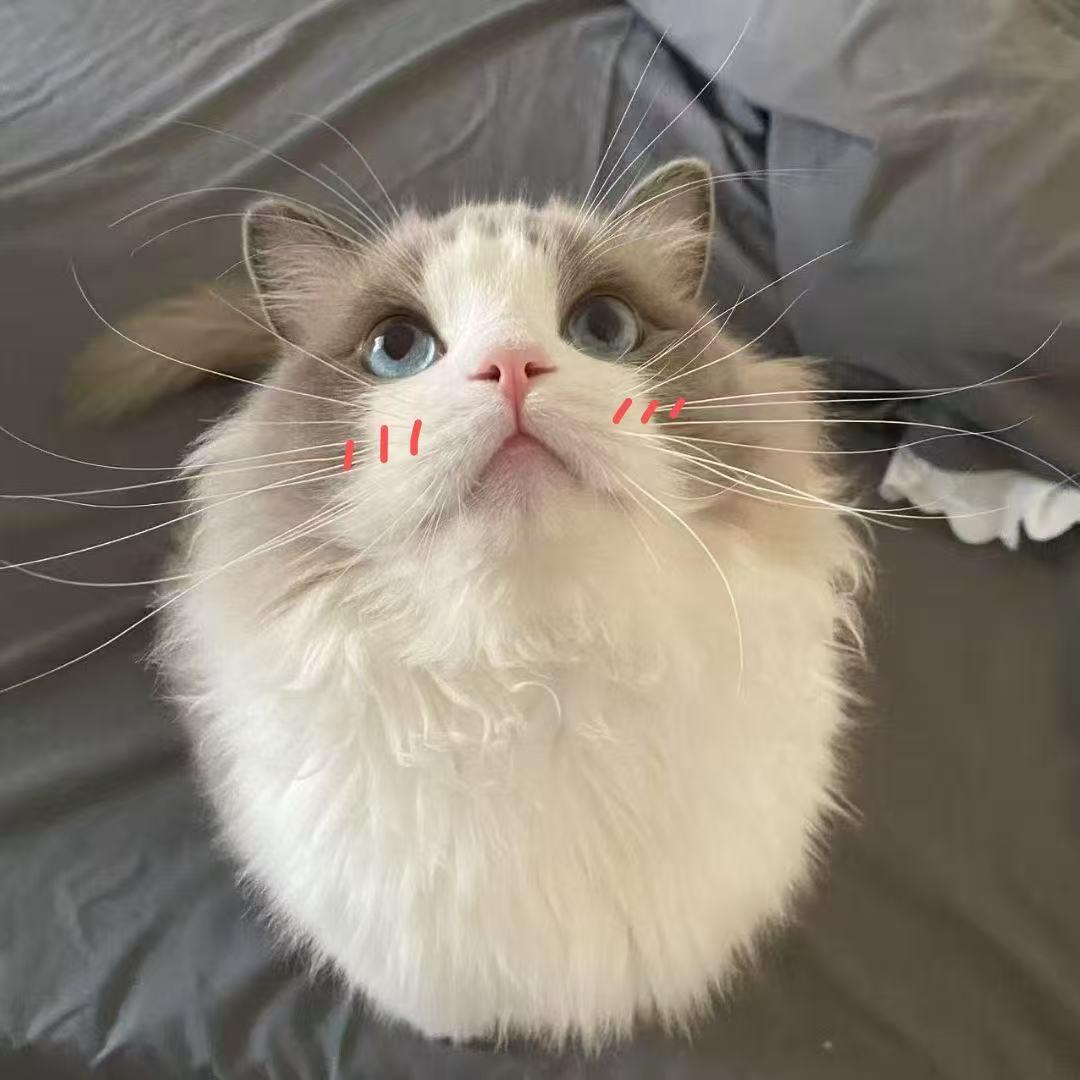小丁