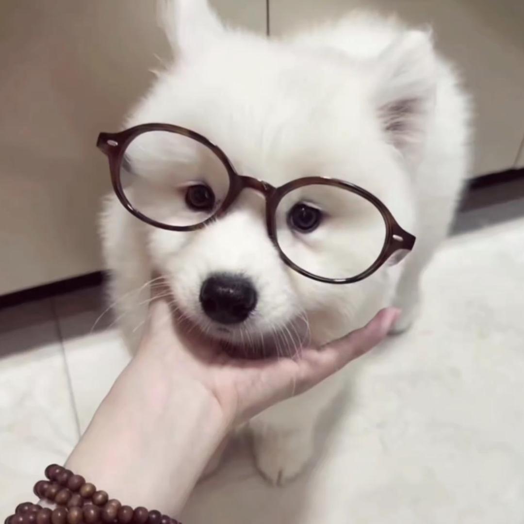 baby佳