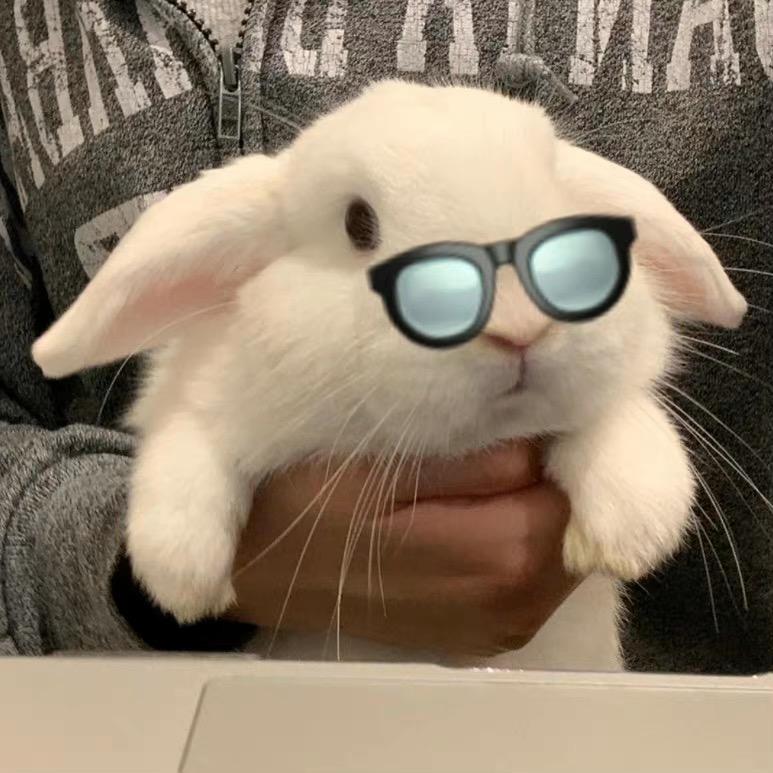 网友小羊