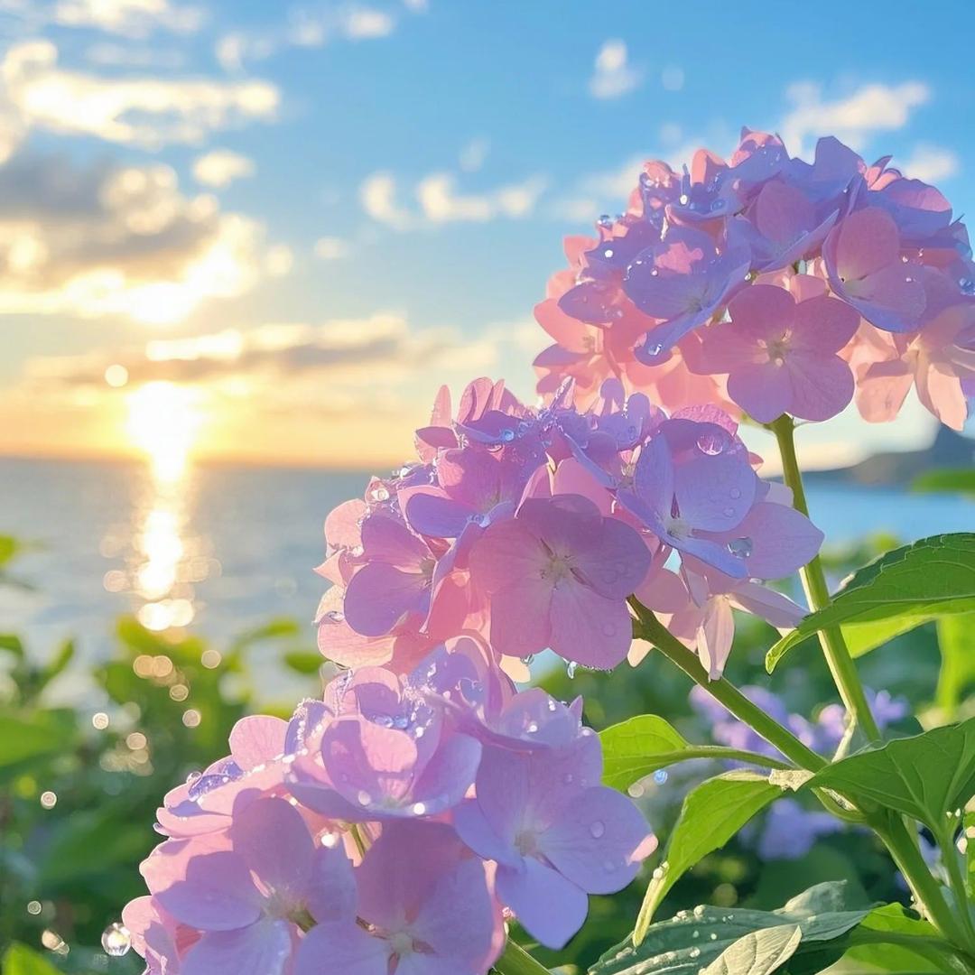 初见花卉园