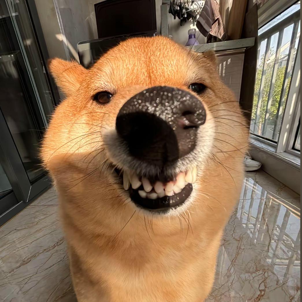 111777
