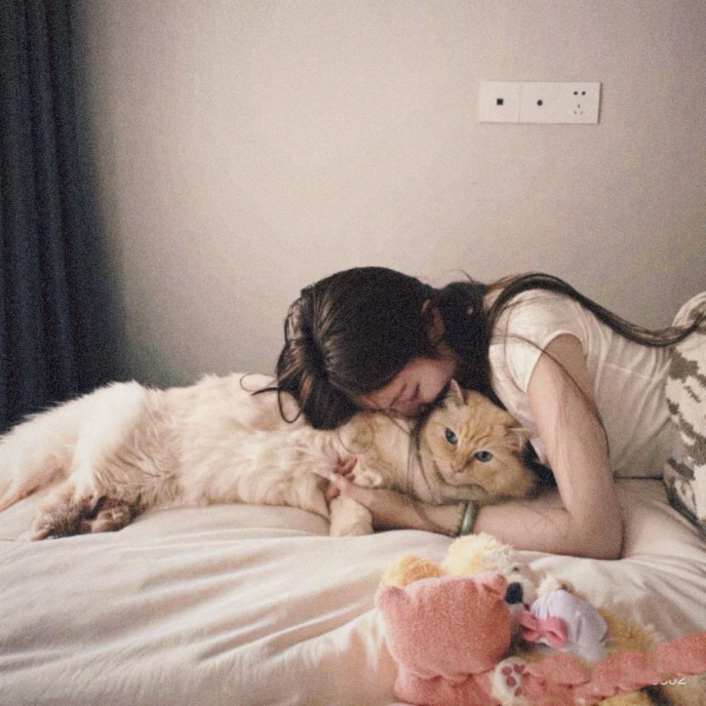 晚安 ￴￴ ￴￴￴￴￴ ￴￴ㅤ  ￴